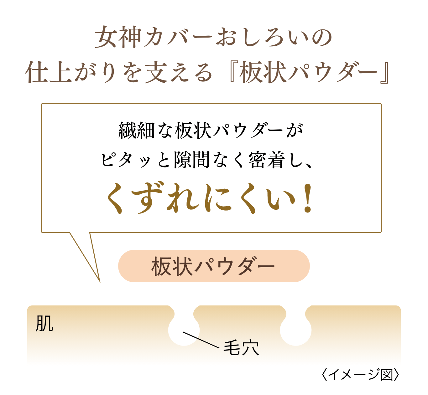 女神カバーおしろいの仕上がりを支える『板状パウダー』 繊細な板状パウダーがピタッと隙間なく密着し、くずれにくい！〈イメージ図〉