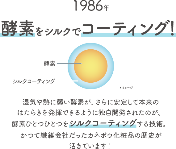 1986年酵素をシルクでコーティング 酵素シルクコーティング 湿気や熱に弱い酵素が さらに安定して本来のはたらきを発揮できるように独自開発されたのが 酵素ひとつひとつをシルクコーティングする技術 かつて繊維会社だったカネボウ化粧品の歴史が活きています 