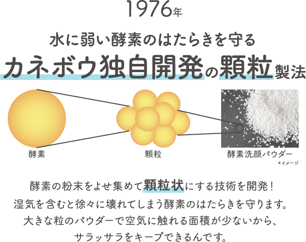 1976年水に弱い酵素のはたらきを守るカネボウ独自開発の顆粒製法酵素顆粒酵素洗顔パウダー 酵素の粉末をよせ集めて顆粒状にする技術を開発 湿気を含むと徐々に壊れてしまう酵素のはたらきを守ります 大きな粒のパウダーで空気に触れる面積が少ないから サラッサラをキープできるんです 