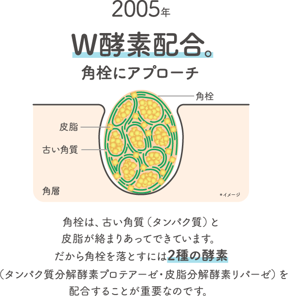 2005年W酵素配合 角栓にアプローチ角栓皮脂古い角質角層 角栓は 古い角質 タンパク質 と皮脂が絡まりあってできています だから角栓を落とすには2種の酵素 タンパク質分解酵素プロテアーゼ 皮脂分解酵素リパーゼ を配合することが重要なのです 
